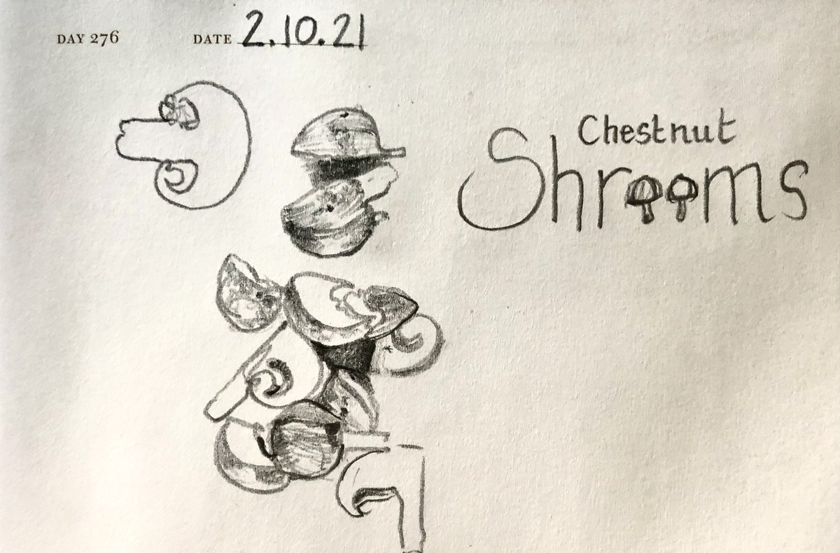One Sketch A Day 2.10.21
‘Chestnut Shr🍄 🍄ms’
#chestnutmushrooms #mushrooms🍄 #shrooms #funghi #breakfast #onesketchaday #sketchbook #visualdiary #art #illustration #pencilsketch
