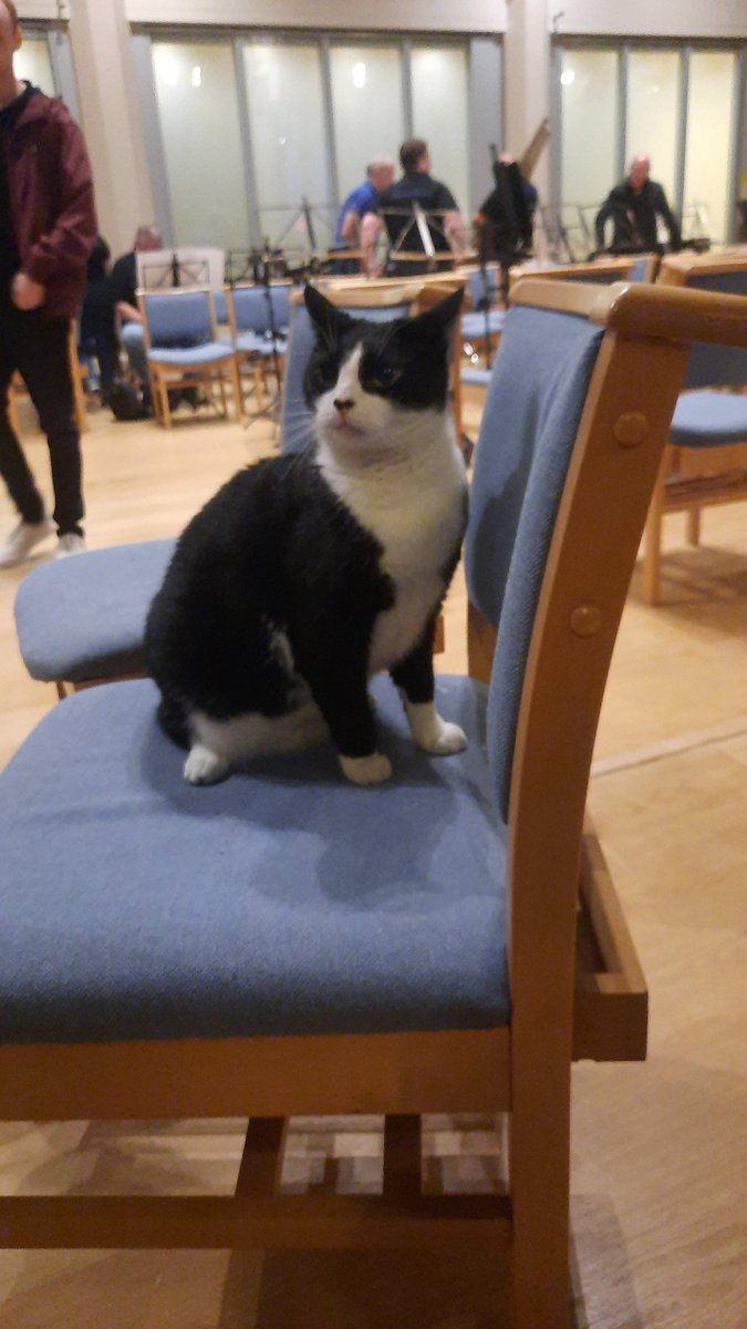simonwillis16's tweet photo. @CatSpecr nice to meet you pushkin. Thanks for letting #carltonmain frickley band rehearse in your church. https://t.co/6Gf17mJ1hm