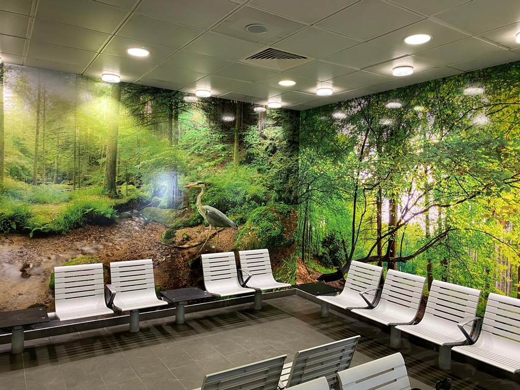 FrostSignsLtd's tweet photo. Another great example of revitalising a station with this waiting room wall graphic, bringing colour and life to their waiting room.

#readingstation #wallgraphic #trainstation #waitingroom #design #graphicdesign https://t.co/AIoduVDQID