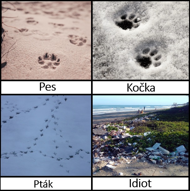 Stopy jednotlivých tvorů...🙄 #priroda #milujemeprirodu #meme #doggomag