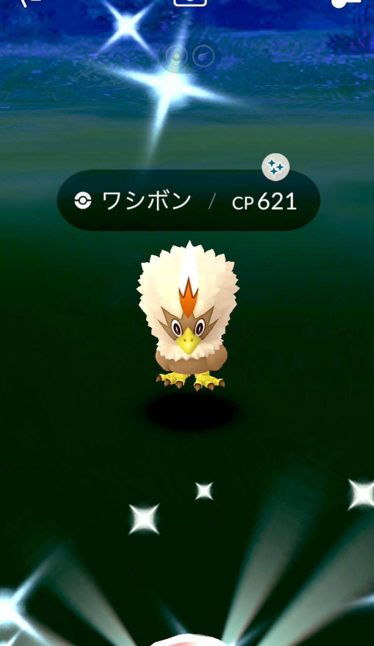 Twitter 上的 Taka ポケモンgo東京tl50 ワシボンキター ウォーグルブルーでカッコ良すぎる ポケモンgo ワシボン色違い ウォーグル色違い T Co Hl6bklbkbp Twitter