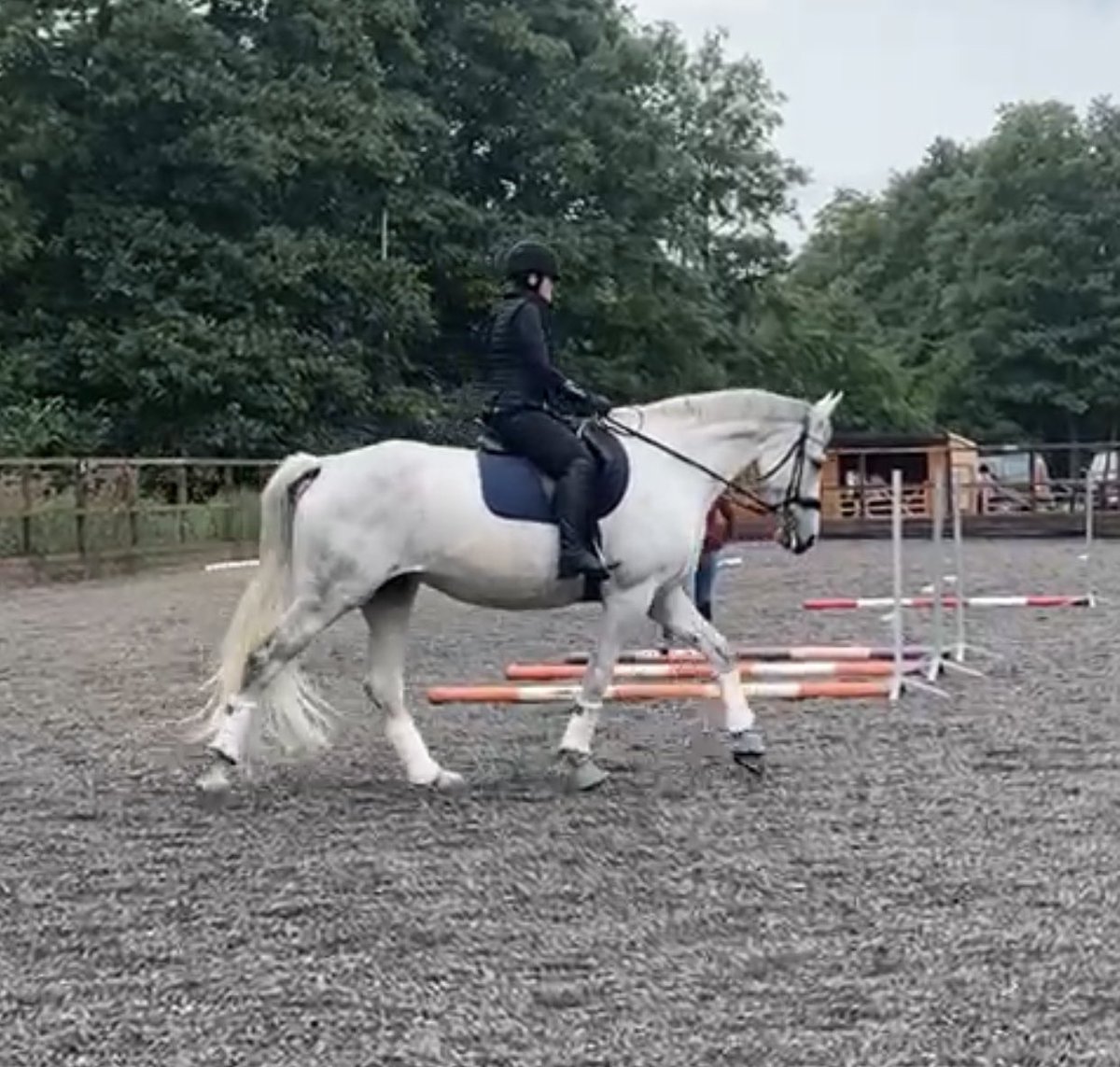Saddle fitting for the girls this week ahead of our last International of the year with <a href="/colnesaddlery/">Colne Saddlery</a> Their new <a href="/AlbionSaddles/">Albion Saddlemakers</a> needed some reflocking after settling to ensure they are free to move &amp; super comfy. All felt amazing afterwards. 
#MultipleSclerosis #ponyhour