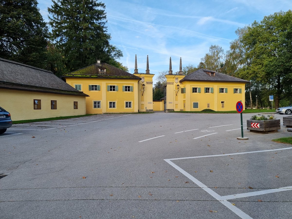 Running to look tweet media