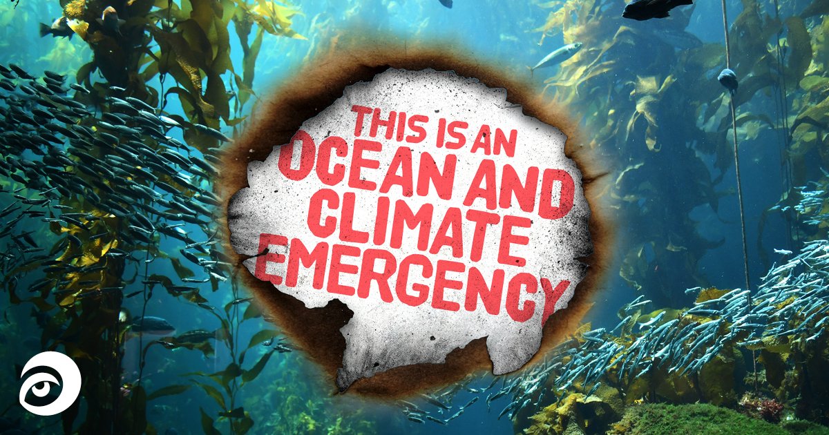 sascampaigns's tweet photo. 🛑CLOSING TOMORROW🛑

The #ClimateCrisis is the biggest threat we face as global community. The scale of the issue can feel overwhelming. But YOU can make a difference. 

Add your name to the #OceanEmergency petition &amp; share with your friends &amp; family 👉https://t.co/yijDpoqT0d https://t.co/7VXOWC8rhI