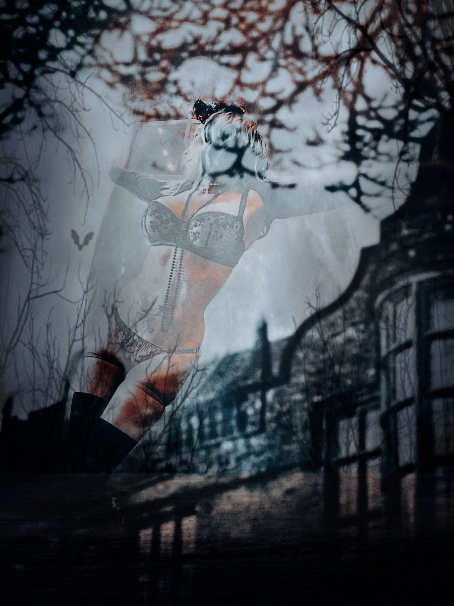 dahliadivinepdx's tweet photo. I’m feeling #spooooooky. 👻👻👻 #MysteryHourMilf #NocturnalNymph #SaturdaySiren #DatePortland https://t.co/Qs6x6xFbsh