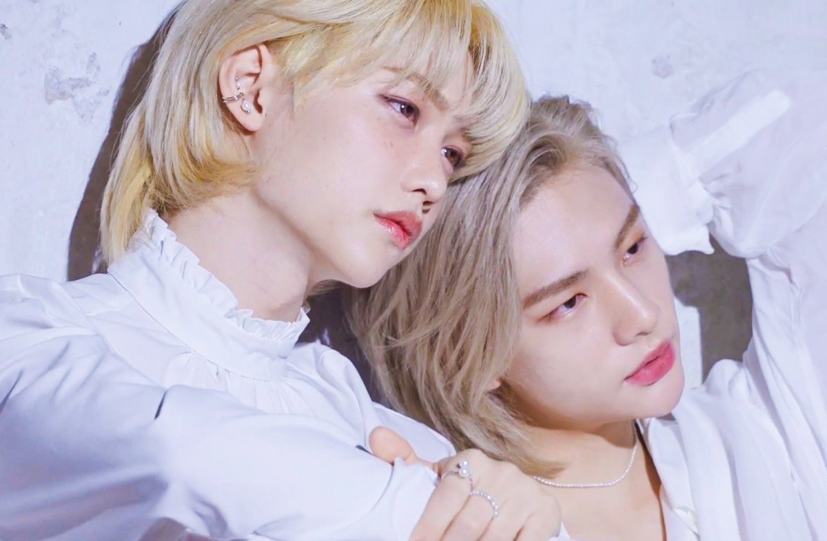 요모 tweet media