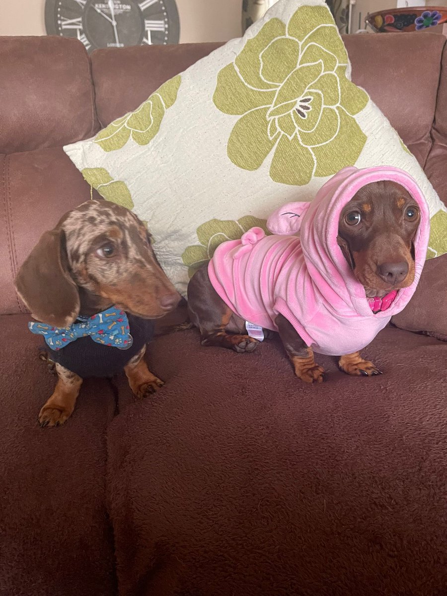 Just back from a walk x <a href="/Rebecca_Stuart1/">Rebecca Stuart</a>  the res was very interesting for our jaunt 😂