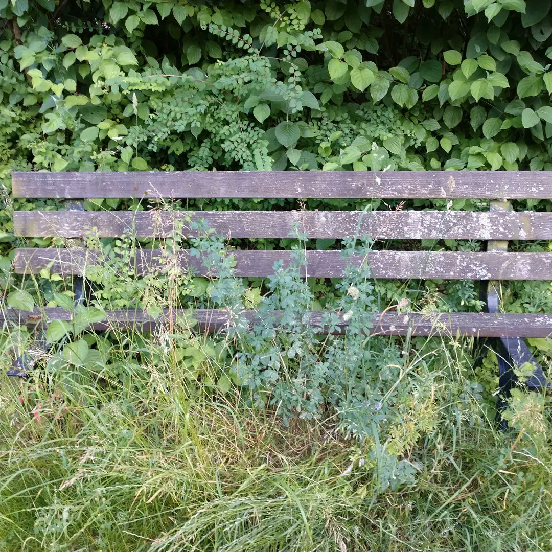 kulturtussi's tweet photo. Einst ein lauschiges Plätzchen. Gerade holt sich die Natur diese Parkbank zurück! 4. #challenge zu #JetztKunstPflanzen aus unseren Handreichungen für #InventingNature der @Kunsthalle_Ka https://t.co/REHFT42MWu