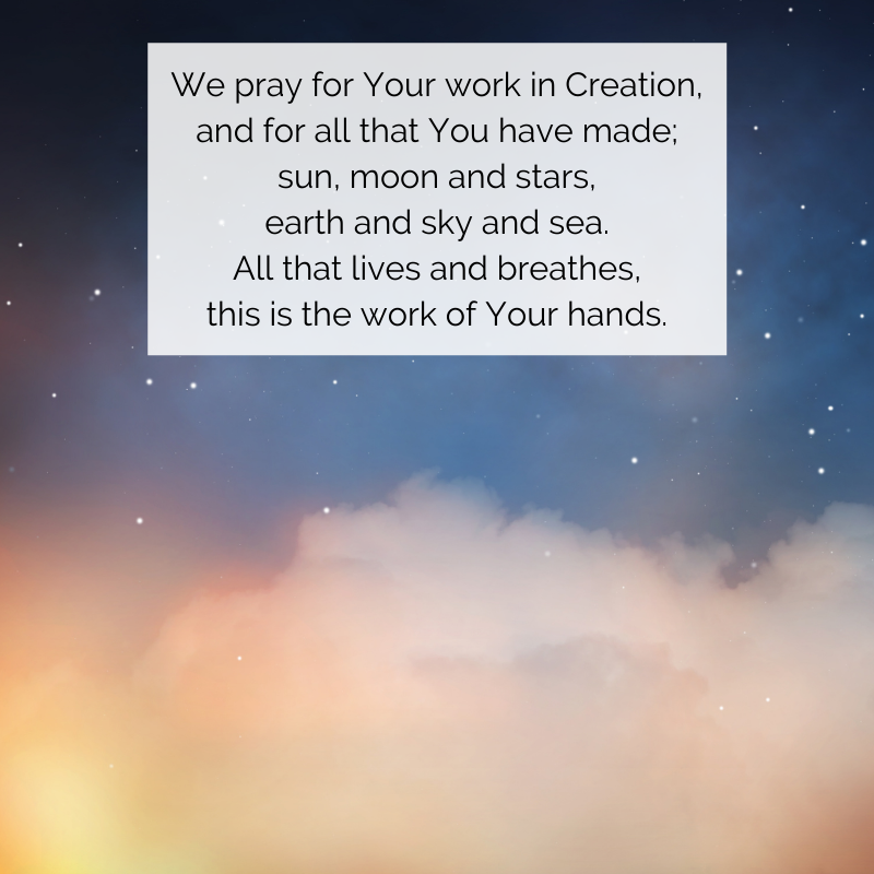 Church of Scotland tweet media