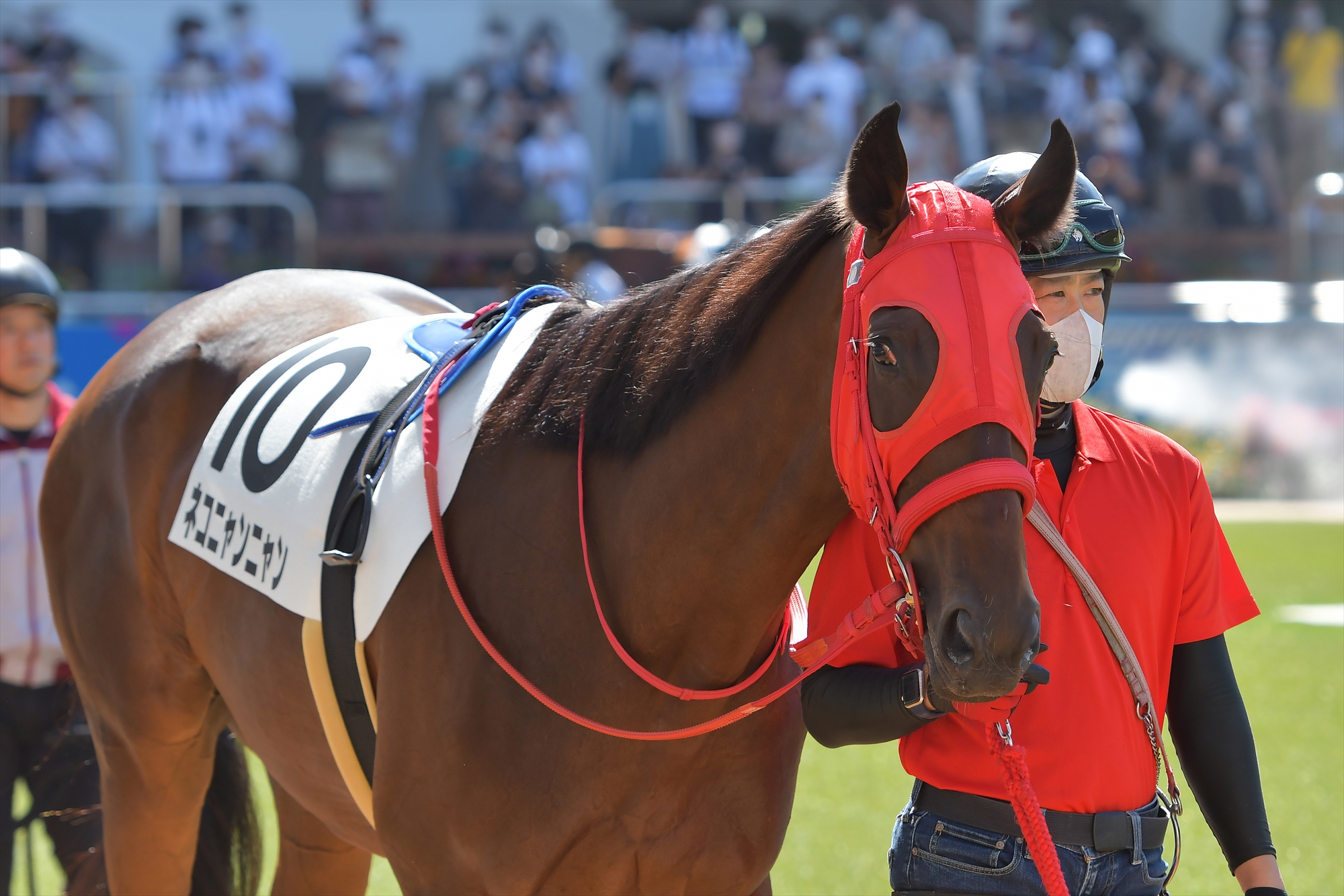 全3色/黒/赤/ベージュ 激レア 写真集 ONTHETURF2 競馬 - 通販 - www