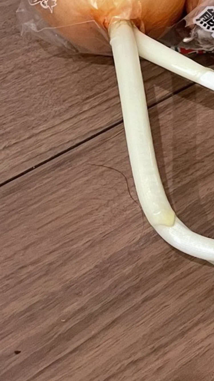 あの毛にしか見えん  