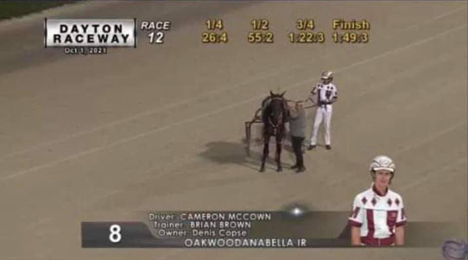IrishTrotting's tweet photo. Oakwood Anabella smashed the Track Record for 3YO Fillies tonight Dayton Raceway, she paced the Mile in 1:49.3 with a 54.1 last half and 27.1 last Quarter! 

Congratulations to all the connections!

FULL sister sells @BritishHarness York Standardbred Sales today!

#IrishExport https://t.co/LkI3PLu9R4