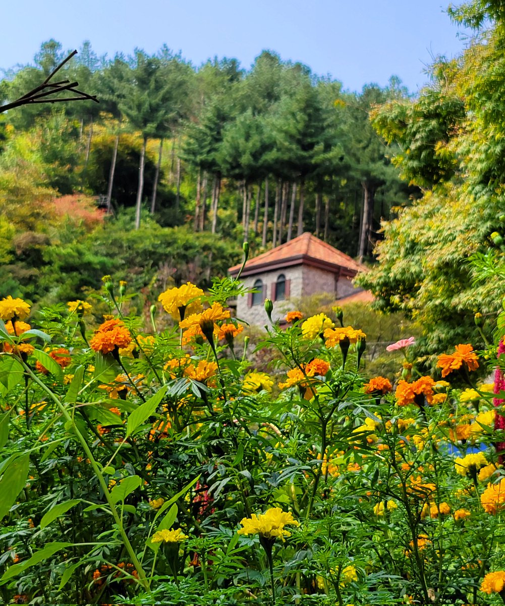 RM0613RM's tweet photo. 우리나라 최초 민간정원🍂🥀🌸🍁
수국필 때 다시 가보고픈곳
#MiVoto40 va para 'Butter' de @BTS_twt en la lista #Del40al1CocaCola @Del40al1_es @Los40 https://t.co/n2SzckZcYG
