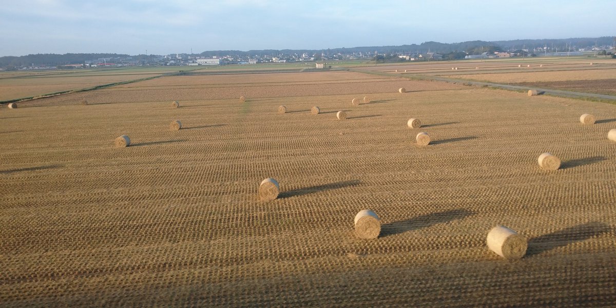 #ミスDJ

明日は、ミスDJだ🎵
360どんなかなぁ💛
と思いながら過ごす
秋の1日✨