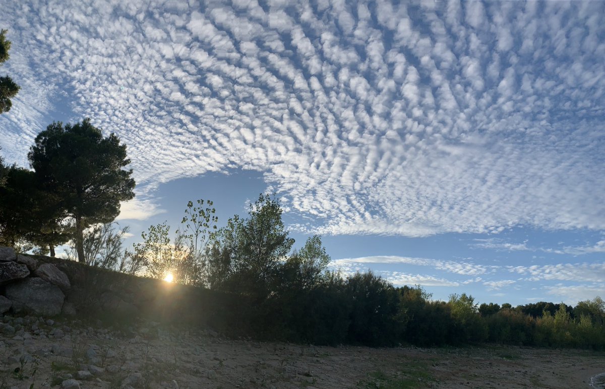 agnes_ollier's tweet photo. Sortir du bureau, resserrer la focale sur l’essentiel. Le vent souffle, il est temps de vivre ! https://t.co/4WV62gDARA