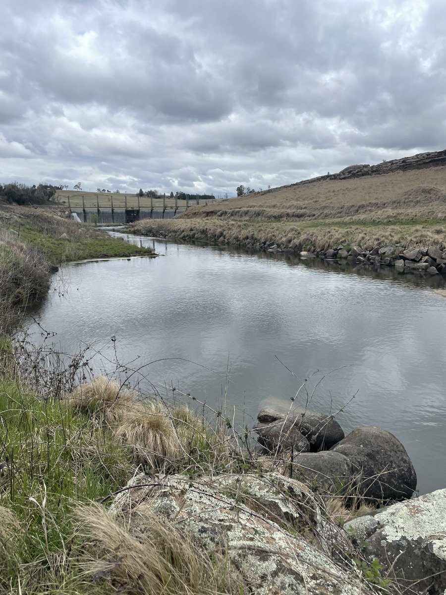 Surreal swim in Beardy Waters near Glen Innes- a swamp wallaby jumped into the water abt 1 m in front of me. I looked up just in time to see it hit the water. We swam to the other side together n it got out. One of those moments where I really wish I’d had my GoPro. Heaps of fun!