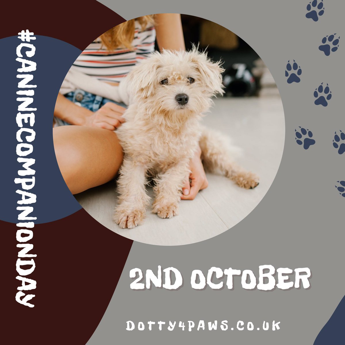 Eeeeek! It’s finally here! #caninecompanionday 🎉🐶 A whole day dedicated to our finest furry friends 🥳 Share a pic of you & your canine companion using the hashtag #caninecompanionday Let’s get our pups trending! #dogs #dogsoftwitter