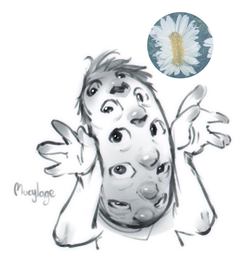 [Fasciation] is a relatively rare condition of abnormal growth in vascular plants which produces flattened, ribbon-like, crested or elaborately contorted tissue. Causes may be hormonal, genetic, bacterial, fungal, viral and environmental