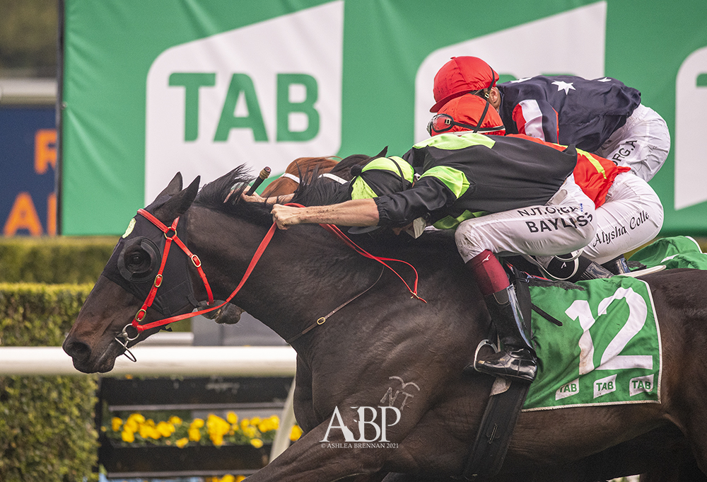 ashbrennanphoto's tweet photo. A day @Reganbayliss will never forget as he wins his second Group One of the day, the @tabcomau Epsom with PRIVATE EYE (#AlMaher) for @PrideRacing and @ProvenTbreds! @Sheridan_Paine https://t.co/CNTtQZW49L