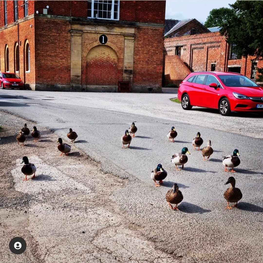 The Depot tweet media