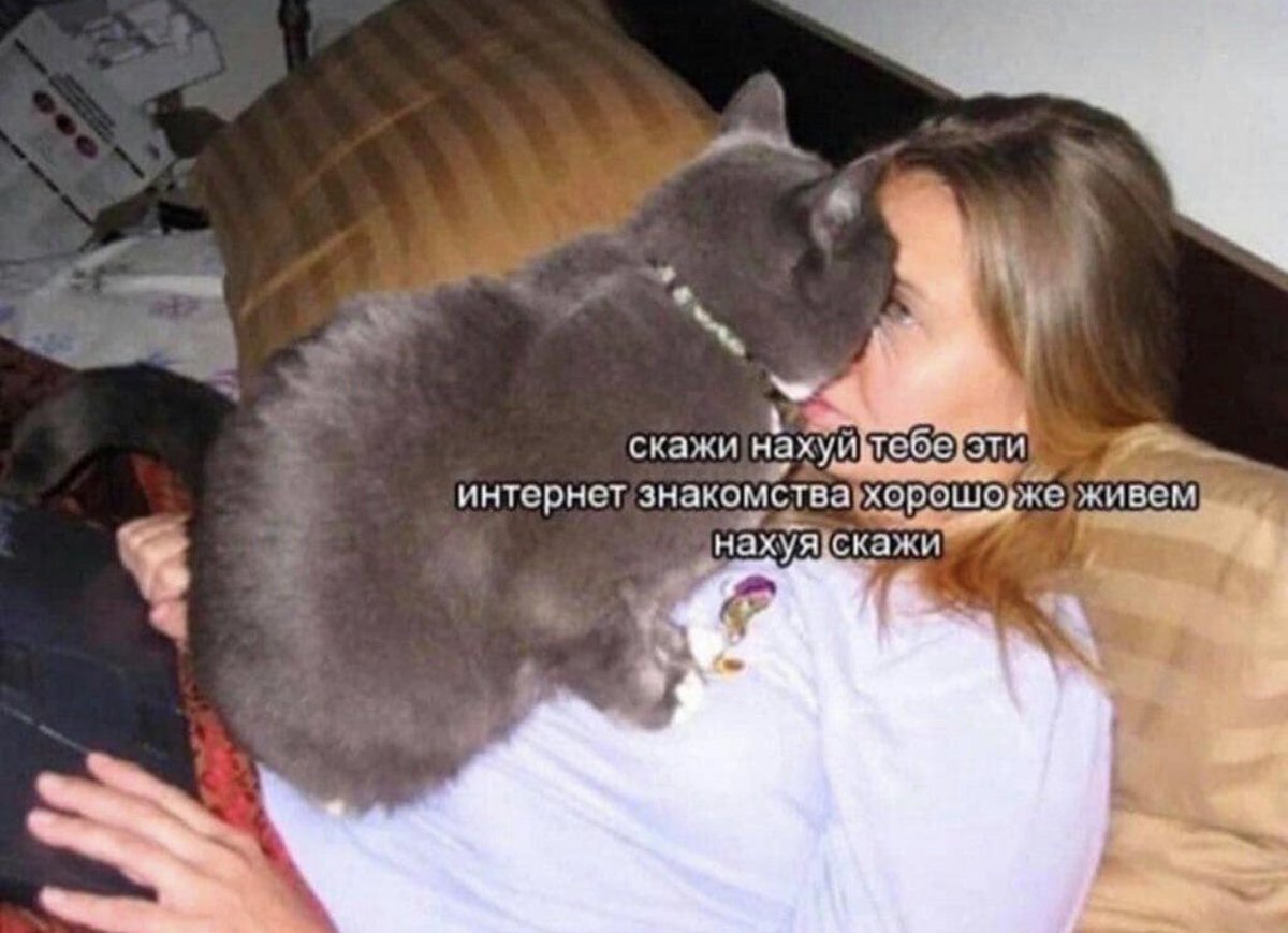 memesforwomen's tweet photo. https://t.co/j61aWDj1pY