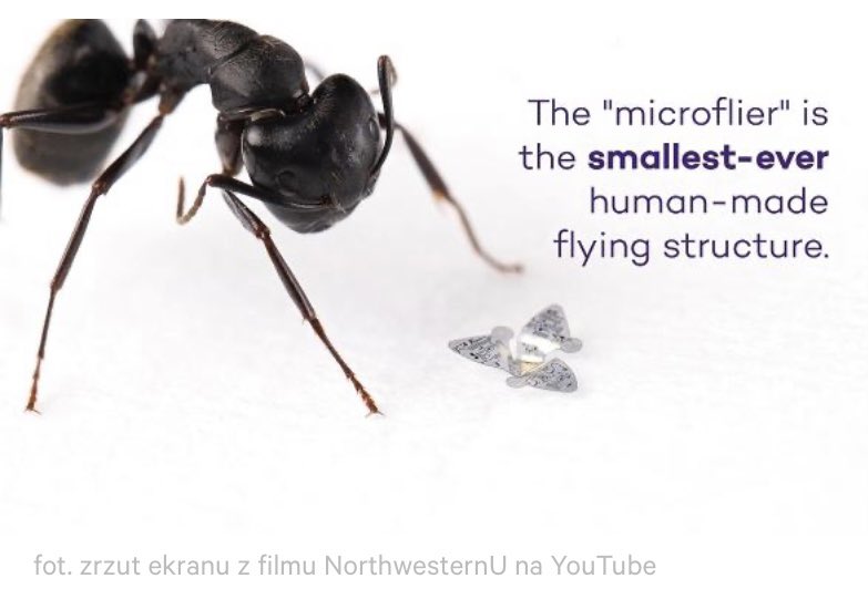 patriokrata's tweet image. Naukowcy z Northwestern University stworzyli „microflier” - #mikrochip wielkości ziarenka piasku, który może unosić się w powietrzu. 
Zwolennicy teorii spiskowych, szczególnie tych o chipach w szczepionkach, będą teraz musieli chyba nauczyć się żyć bez oddychania… 🤔