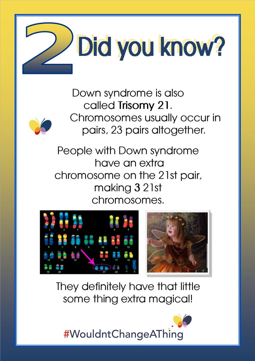 Wouldntchangea1's tweet photo. It’s day 2 of Down Syndrome Awareness Month.

Did you know?

#DownSyndromeAwarenessMonth #DownSyndrome #WouldntChangeAThing https://t.co/btZjYdB2mp