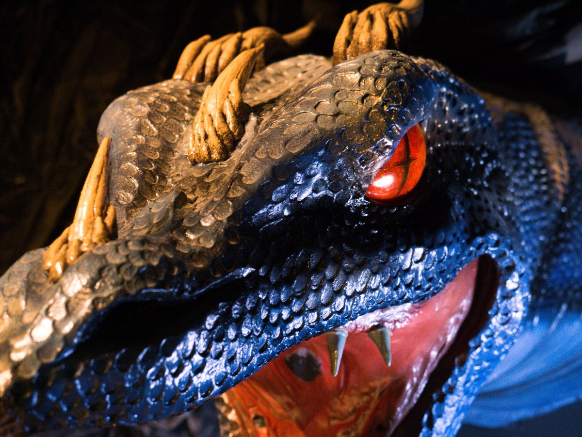 Can You Escape? 🗝️ tweet media