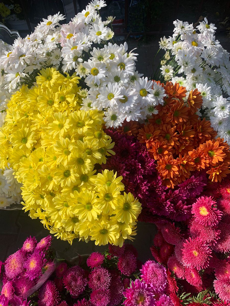 rNqWnxMPyWQnOyI's tweet photo. 🌻🏵️🌾🌻🏵️🌾🌻🏵️🌾🌻🏵️🌾🌻 https://t.co/3OuTZB62TH