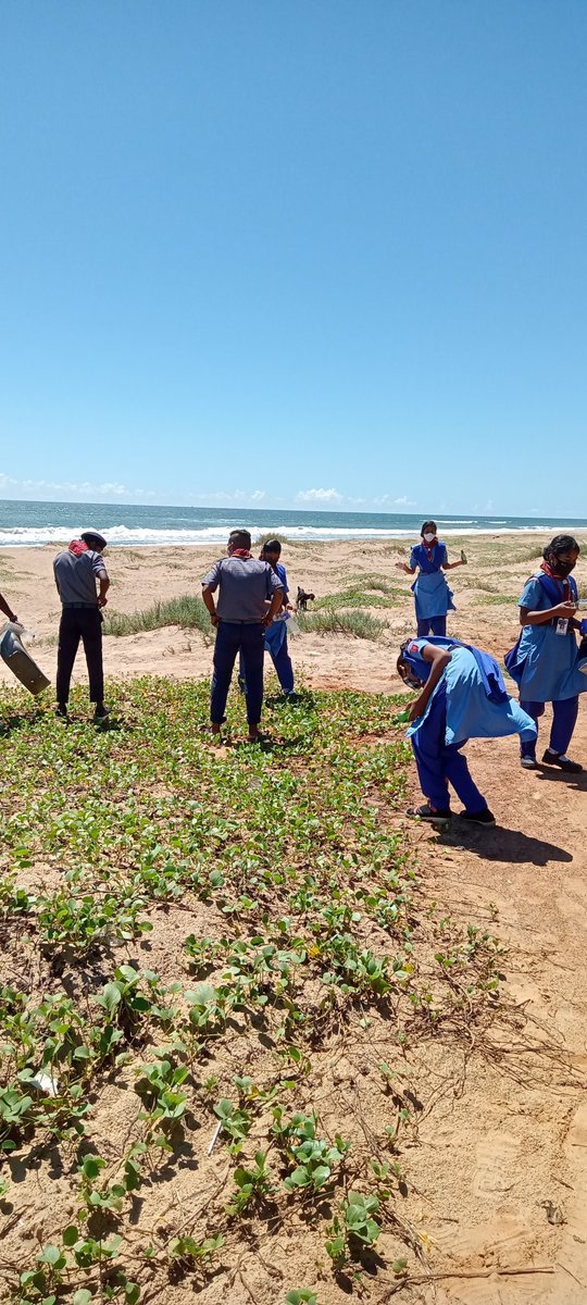 Monalis66742399's tweet photo. Observation of #GandhiJayanti
BEACH CLEANING @SONPUR.
SWACHA AVIYAAN 2.0 @Anamika45485576
@bsgnhq @bsgodisha
@bsgindiaer @Monalis95935857
@EarthologyI @Sangamwc
#mopindia #goodturn #SDGgoals #GoodHealthAndWellBeing #plasticfreeliving #saynotoplastic https://t.co/sxJue2KQ9Q