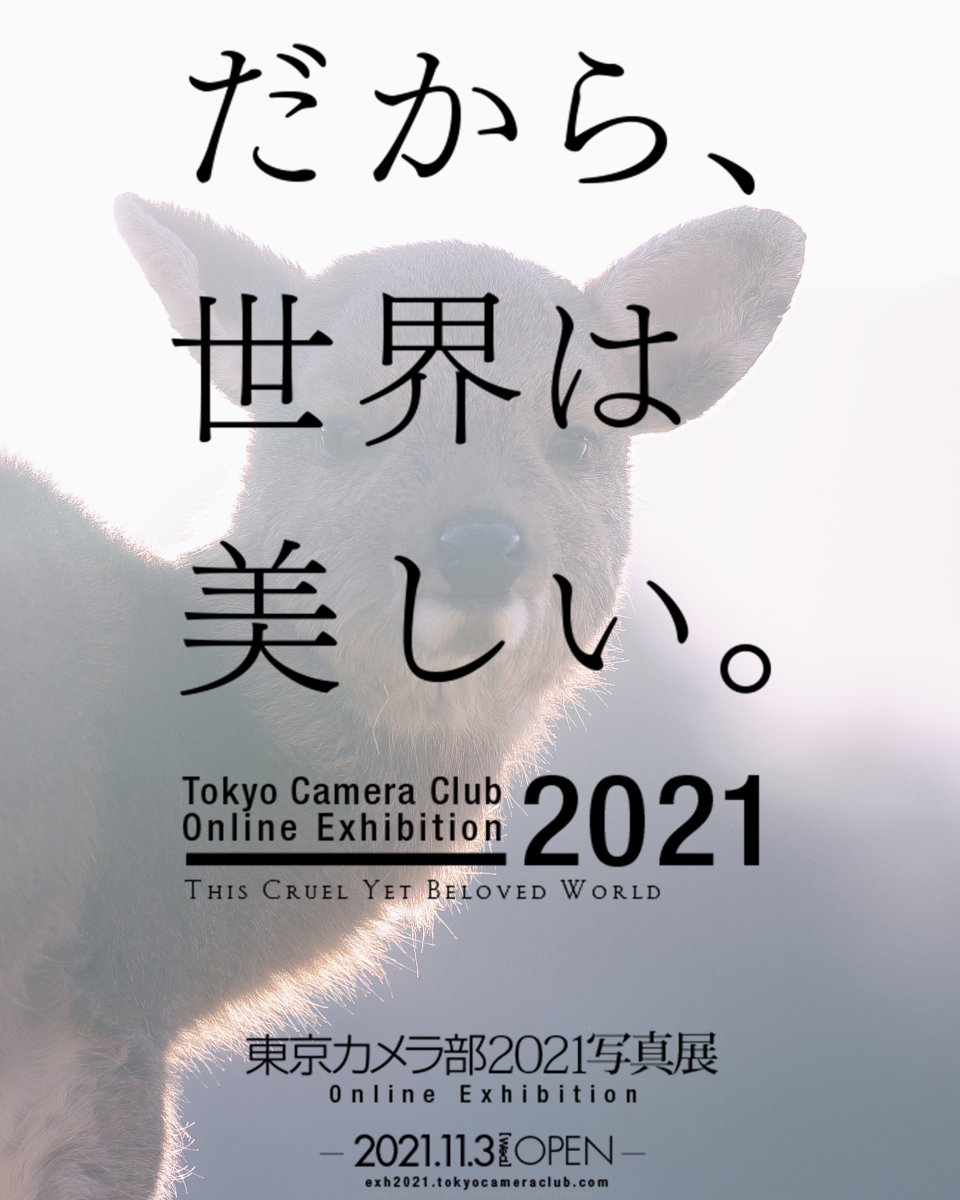 install_ky's tweet photo. ご報告が遅くなりましたが､
昨年に続き､
東京カメラ部｢日本写真100景<四季>2021｣
に入賞させていただきました｡
その入賞3作品を
｢東京カメラ部2021写真展｣に
掲出いただきます｡ぜひ､ご覧ください｡

■写真展特設
https://t.co/39fUxTeNhW

#東京カメラ部2021写真展 #だから世界は美しい https://t.co/ApOtoIVT7l