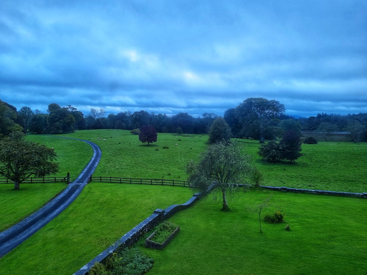 Eric Hoffman ✈️ tweet media