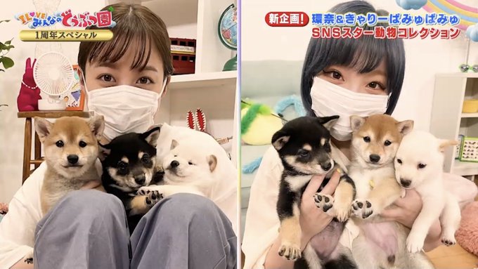みんなのどうぶつ園 21年10月2日 土 ツイ速まとめ みんなのどうぶつ園 21年10月2日 土 ツイ速まとめ
