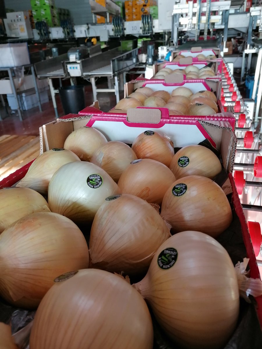 OrigineCevennes's tweet photo. Encore un jour de vente
Toujours en plaisir d'expédier nos oignons doux #AOP des #Cévennes https://t.co/dzpKkrC7OK