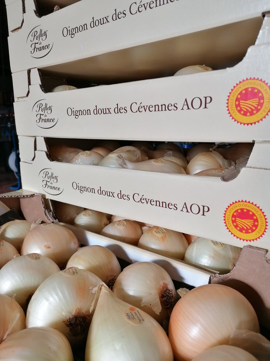 Encore un jour de vente
Toujours en plaisir d'expédier nos oignons doux #AOP des #Cévennes