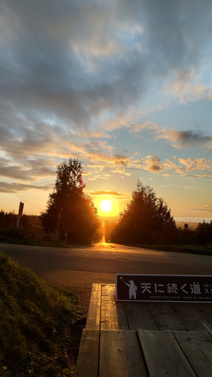 Ibara_Win's tweet photo. https://t.co/cWxjPjJowm