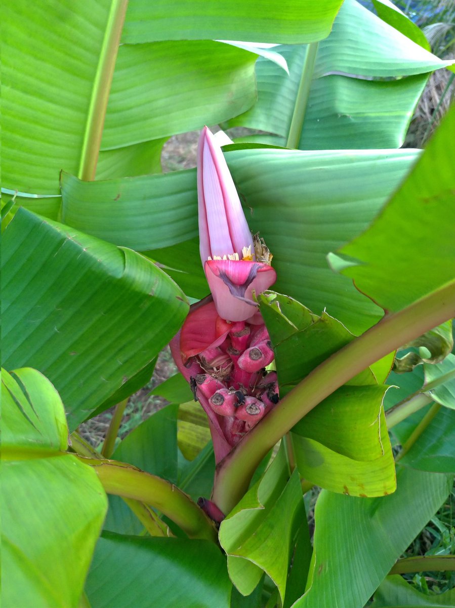 Tanakaysk Tanakaysk84 توییتر