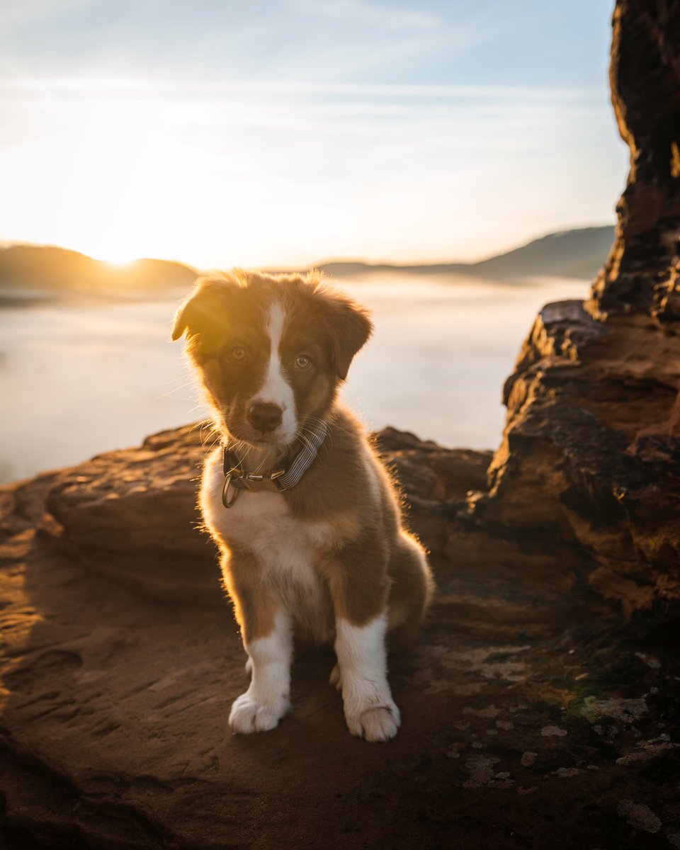 Cédrιc tweet media