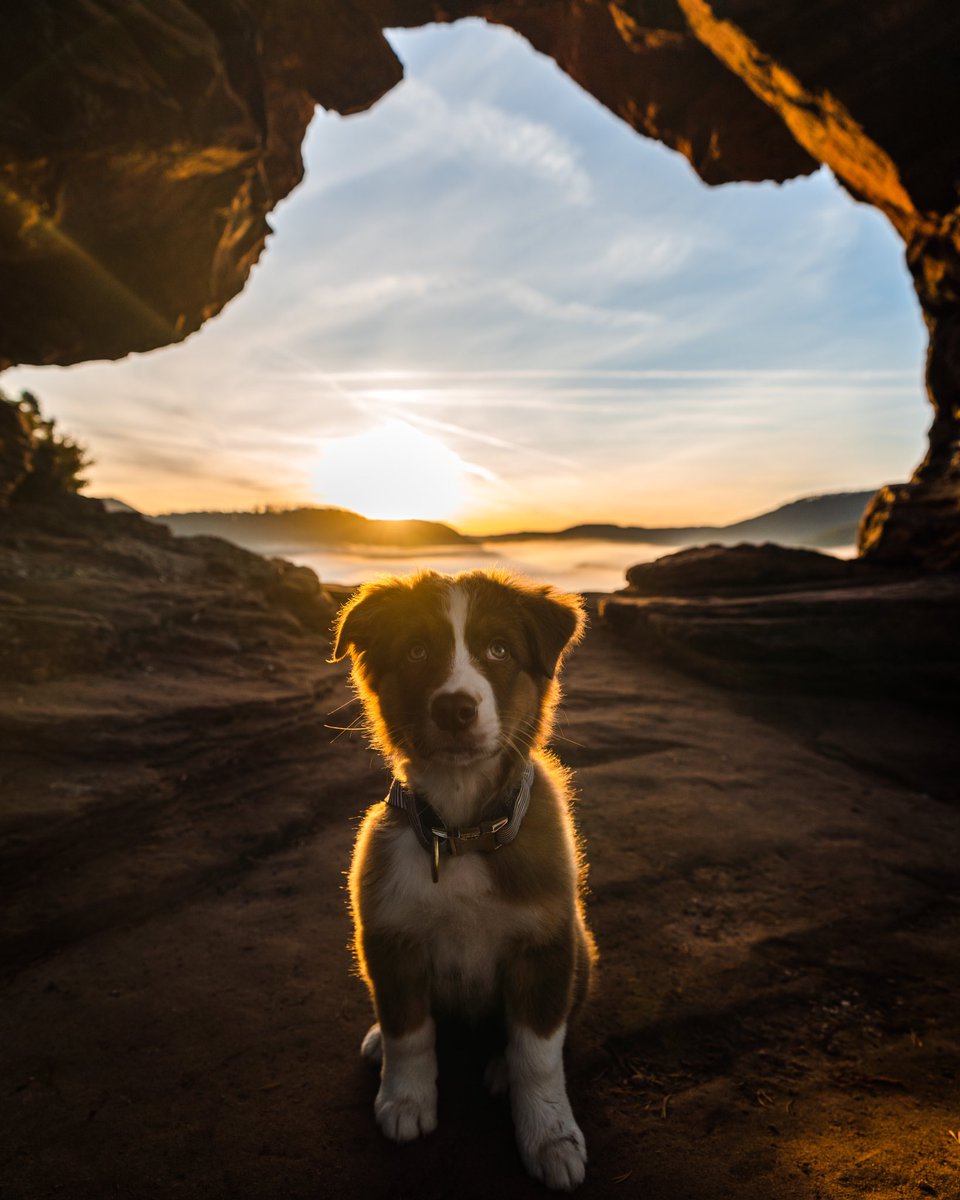 Cédrιc tweet media