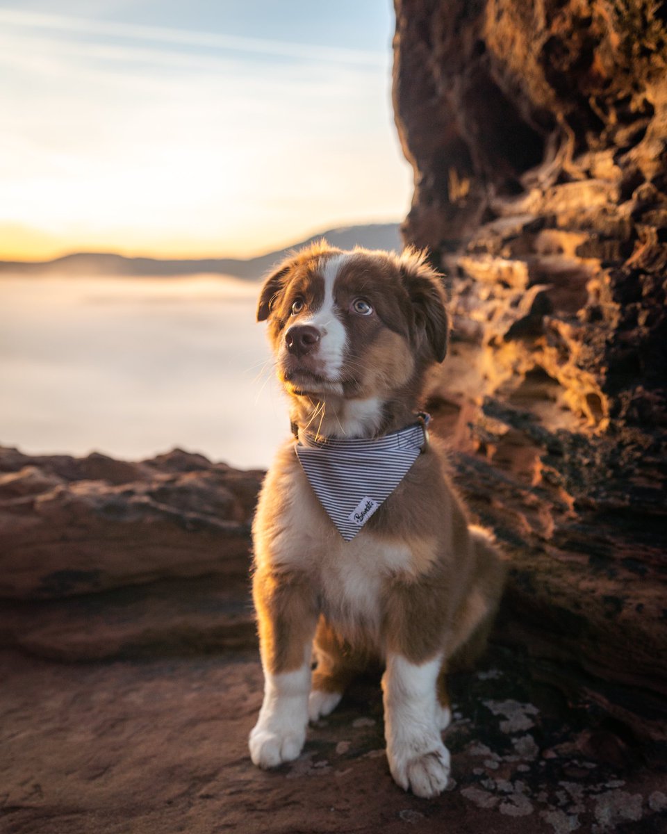 Cédrιc tweet media