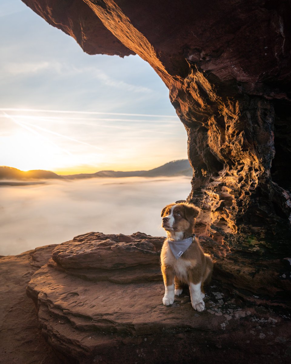 Cédrιc tweet media