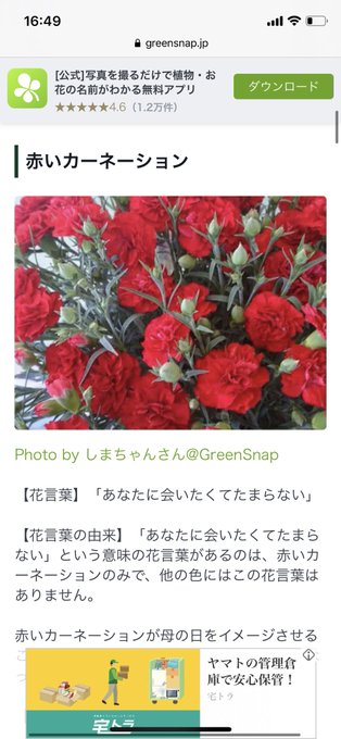 花言葉 高画質 のtwitterイラスト検索結果 古い順 花言葉 高画質 のtwitterイラスト検索結果 古い順