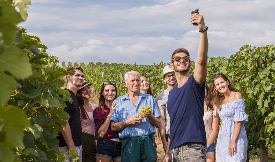 VinsduLanguedoc's tweet photo. Rendez-vous 🍇🍷 À Montpellier les 25 &amp; 26 octobre 2021 où Vinomed, le salon des Vins et de l’Œnotourisme en Méditerranée se tiendra... https://t.co/gkq3kbDj0p https://t.co/DYNXwdltPU