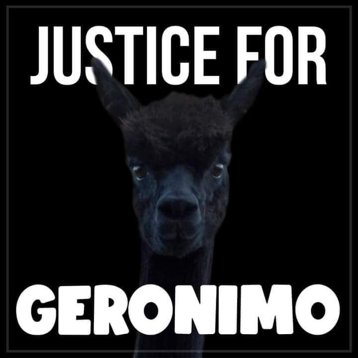 #justiceforgeronimo