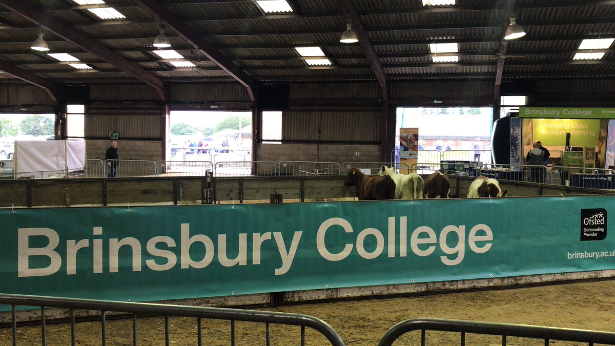 <a href="/SouthEngShows/">South of England Shows</a> here we go. Excited to show our animals and promote @Brinsbury with <a href="/BurryPaul/">Paul Burry</a>  <a href="/ChallisManning/">Sally Challis-Manning</a>