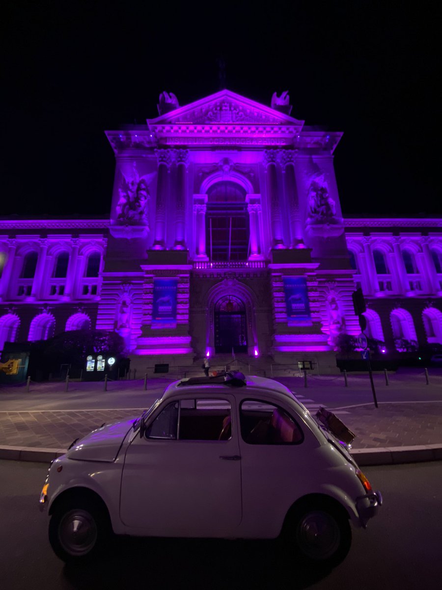 ⭐️ Isa de Monaco ⭐️ tweet media