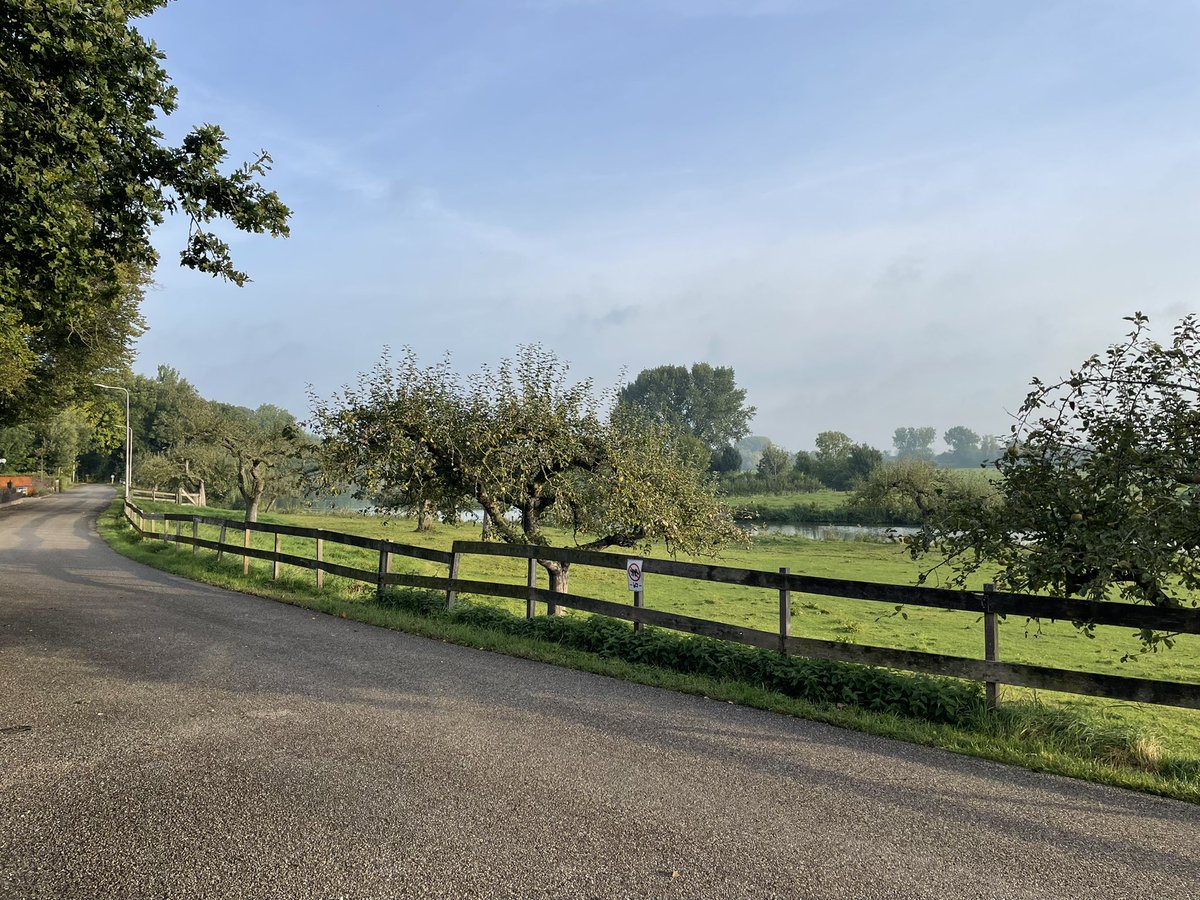 Lana Gerssen tweet media