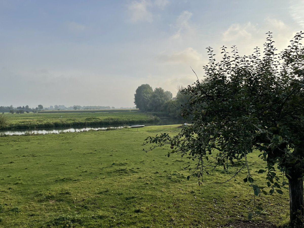 Lana Gerssen tweet media