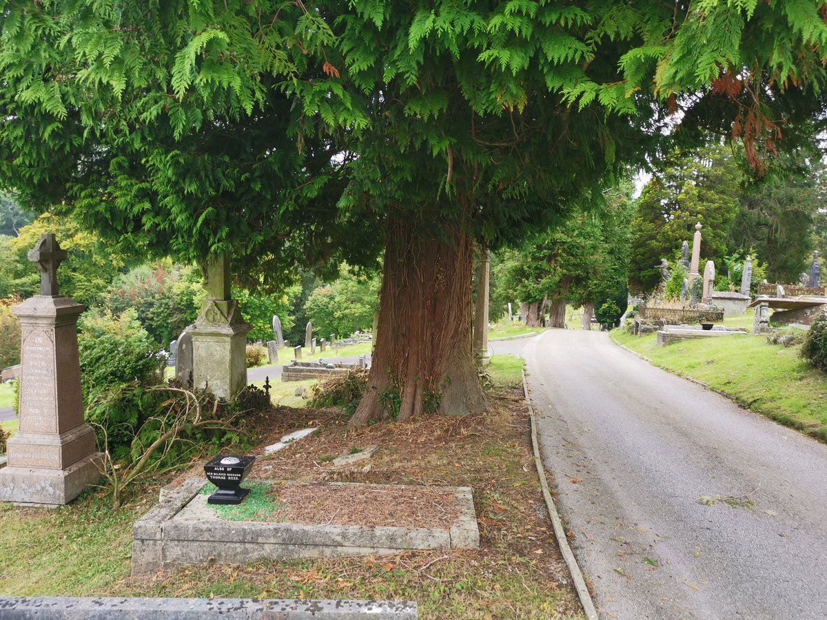 Cwm Taff Unpaid Work tweet media