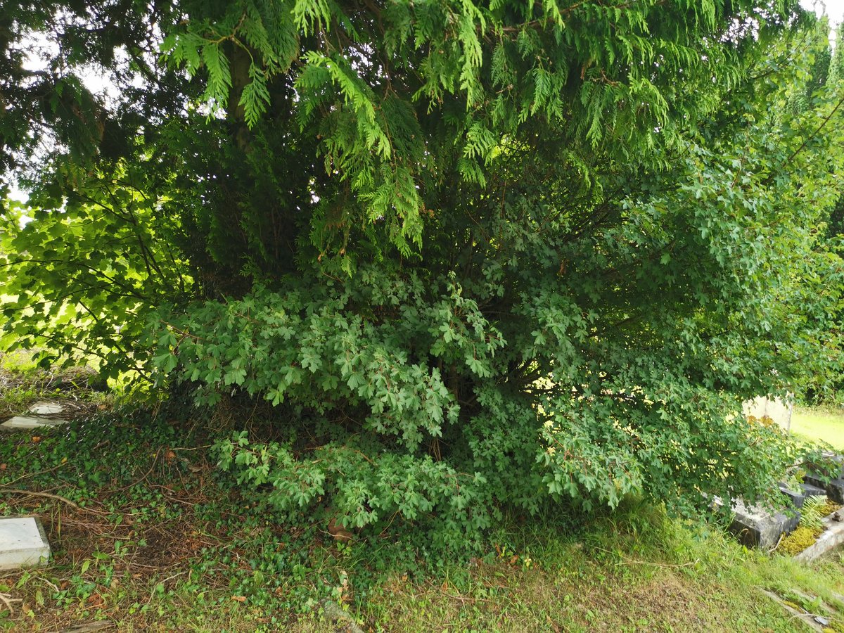 Cwm Taff Unpaid Work tweet media